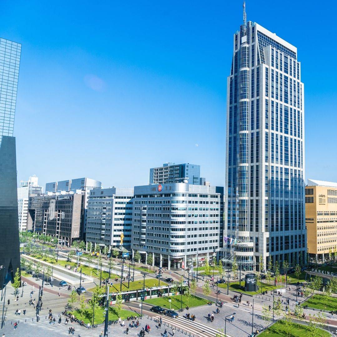 Studia biznesowe w Holandii - informacje praktyczne Studia biznesowe w Holandii - informacje praktyczne