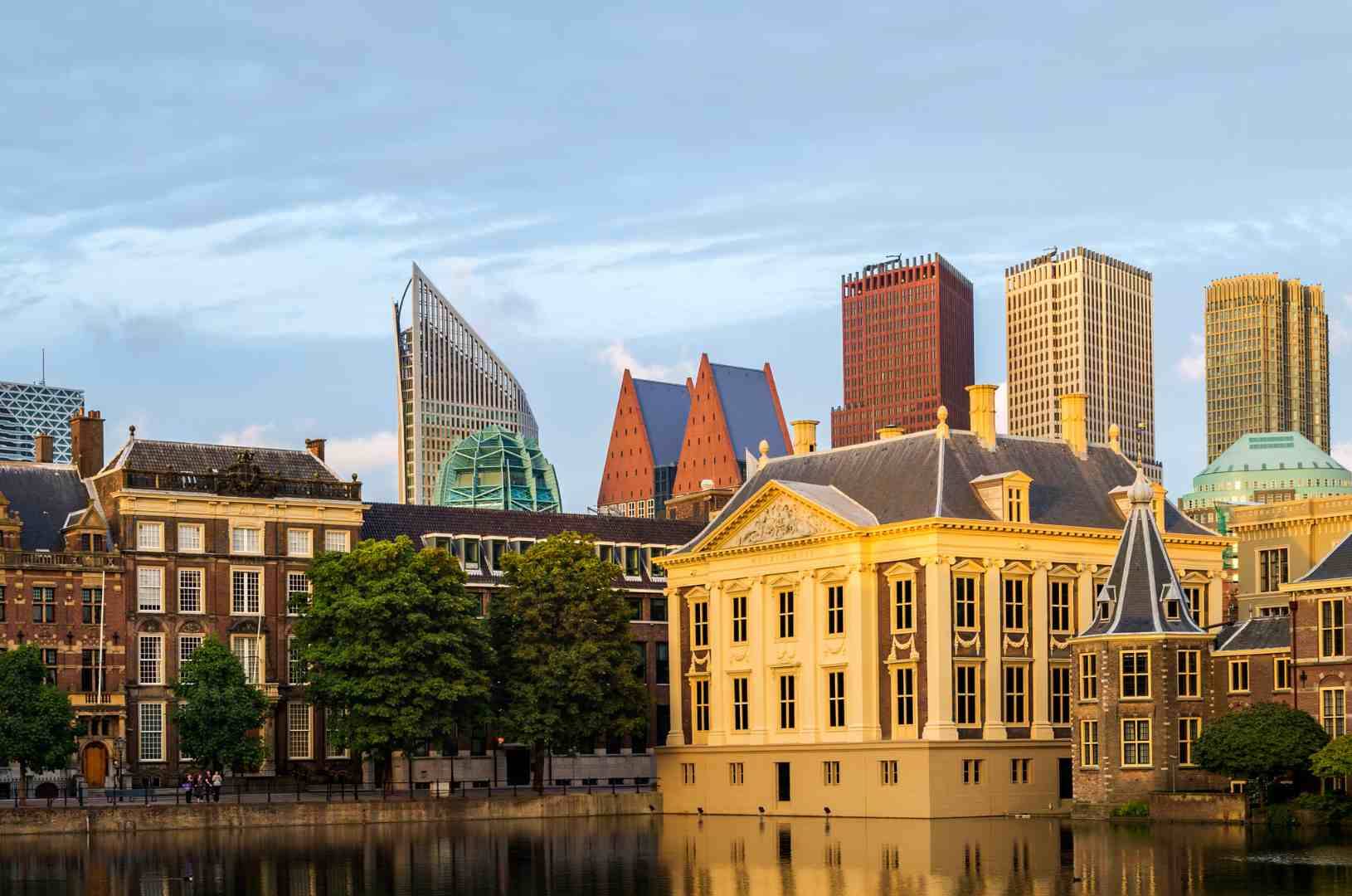 Przykładowe biznesowe kierunki w Holandii Przykładowe biznesowe kierunki w Holandii