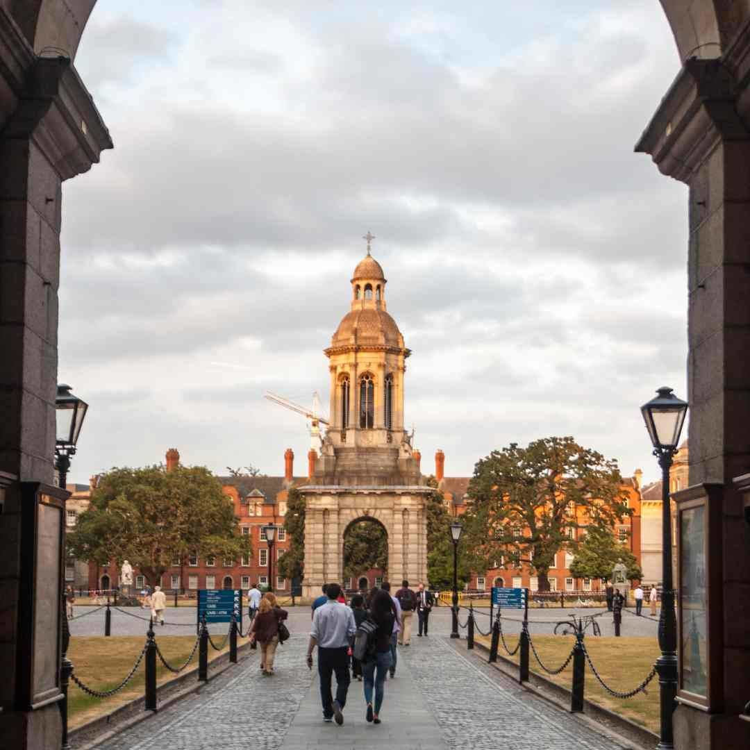 Najpopularniejsze kierunki studiów w Irlandii Najpopularniejsze kierunki studiów w Irlandii