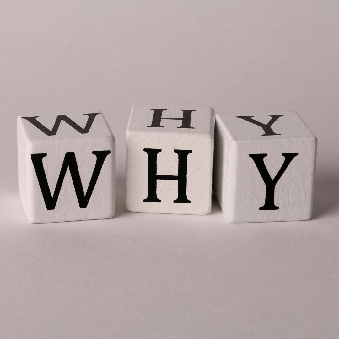 Dlaczego warto studiować architekturę w Holandii? Dlaczego warto studiować architekturę w Holandii?