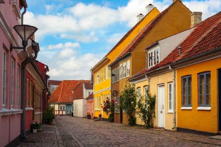 Studia w Odense