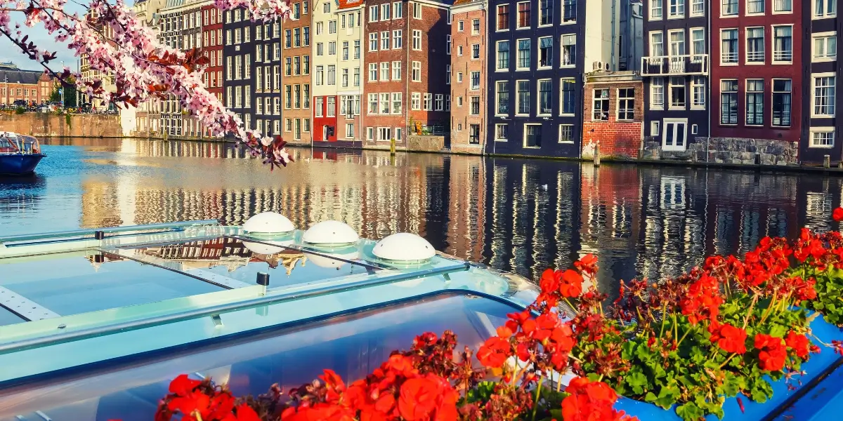 Studia na Wolnym Uniwersytecie w Amsterdamie - miasto