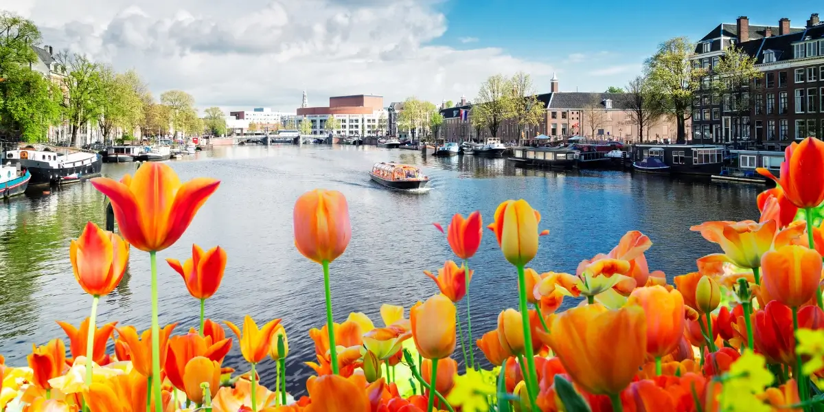 Studia w Amsterdamie